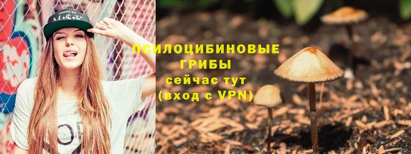 Псилоцибиновые грибы MAGIC MUSHROOMS  Завитинск 